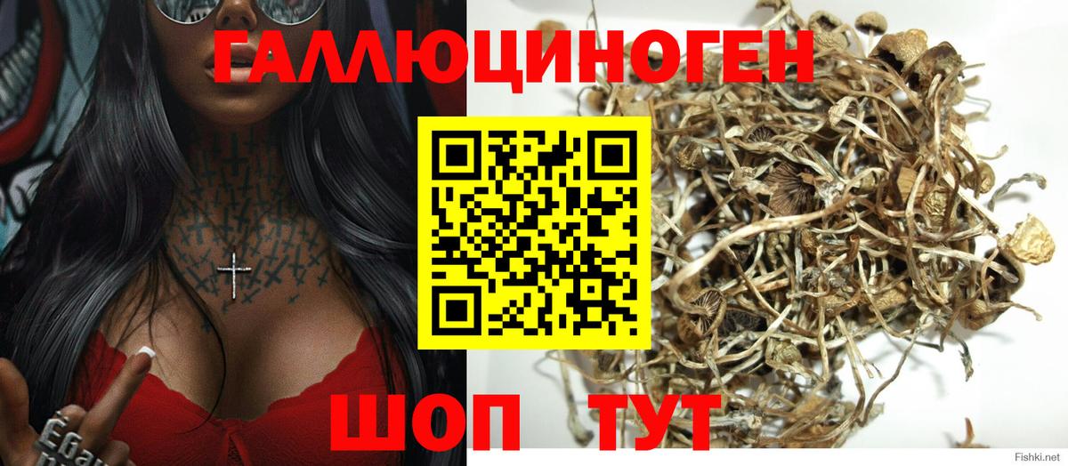 Галлюциногенные грибы Magic Shrooms  Вход с VPN  Галлюциногенные грибы Cubensis  Кирово-Чепецк 